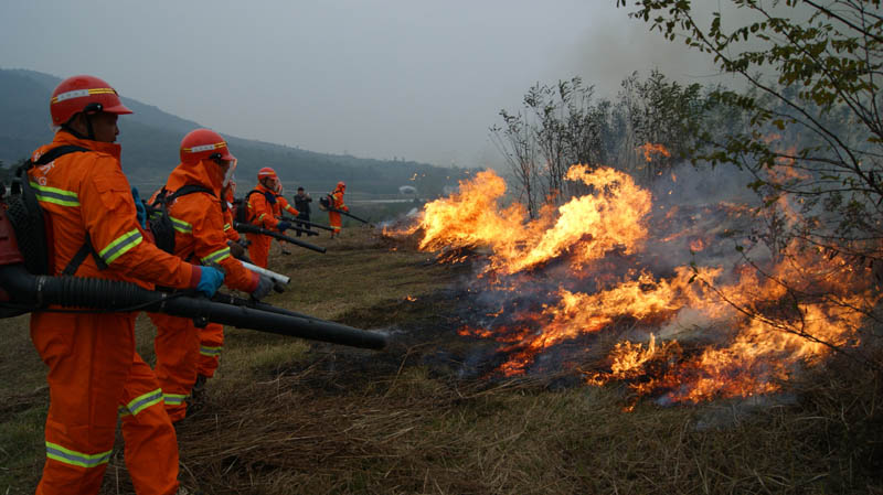 森林防火监控预警解决方案