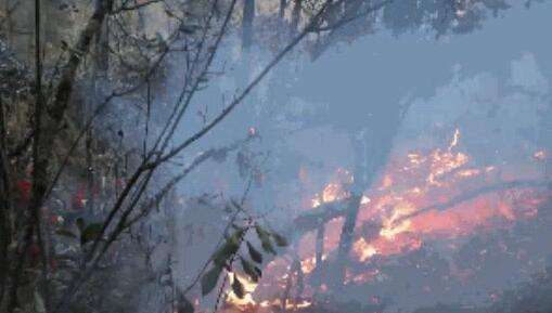 请铭记他们！凉山木里森林火灾牺牲的30位米乐APP官网！