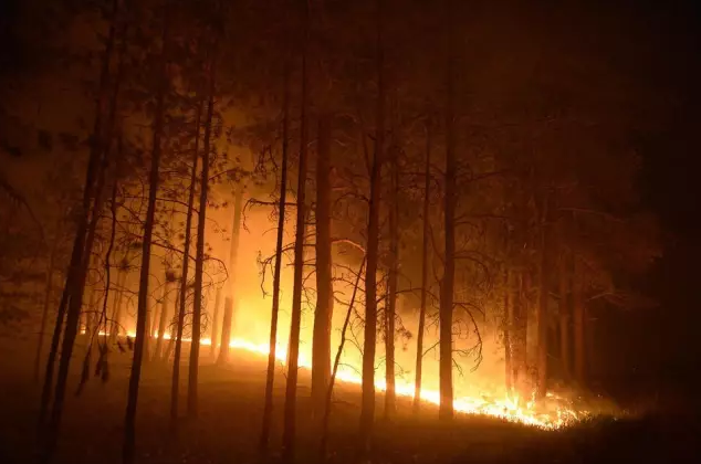 森林火灾的扑救原理和根本途径是什么？