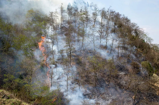 ​保护绿水青山是我们每个公民的责任，森林防火监控预警云台是强有力的保障。