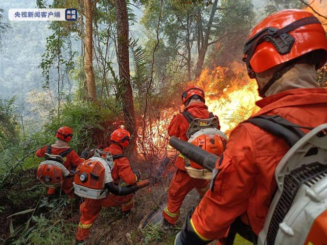 ​应对持续高温“烧烤”天气，林草防火视频远距离监控设备供不应求