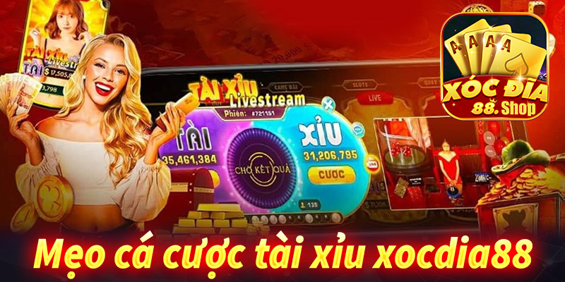 Mẹo đặt cược tài xỉu xocdia88 hiệu quả nhấtt