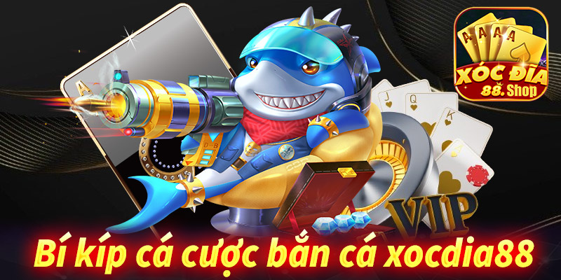 Chia sẻ bí kíp chơi game bắn cá xocdia88 đạt hiệu quả cao nhất 